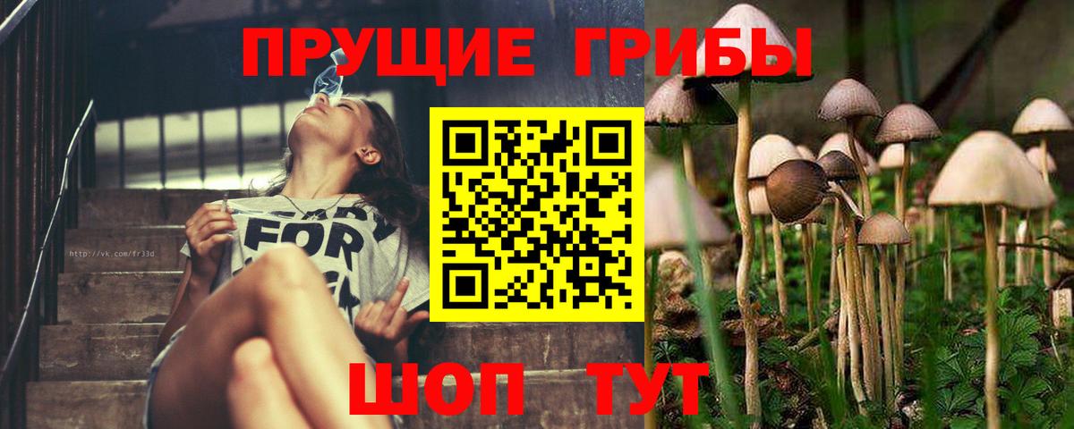 Камень-на-Оби  Псилоцибиновые грибы Psilocybine cubensis  Галлюциногенные грибы MAGIC MUSHROOMS  Вход с VPN 